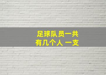 足球队员一共有几个人 一支